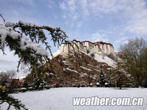 ����ӭ�������ѩ �������������£���ͼ��