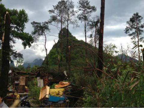 �������־ֵ���������Ϯ�� 5������