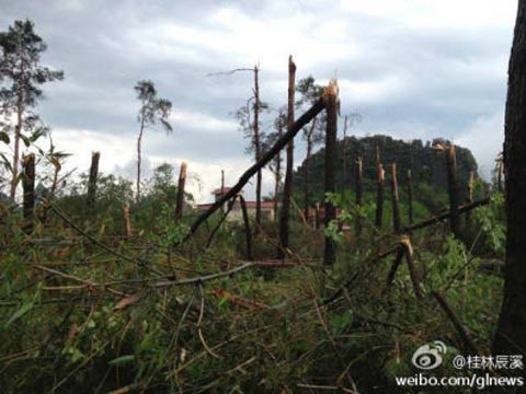 �������־ֵ���������Ϯ�� 5������