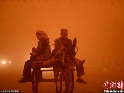 新疆南部多地再遭强沙尘暴袭击 能见度不足20米