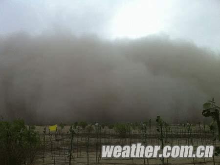 南疆遭遇今年首场强沙尘暴 大风呼啸黄沙蔽日(组图)