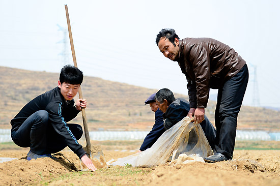 ߽ܣһʹһڵл²磨423㣩