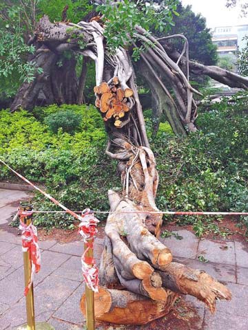 �㶫������ǰѴ�ڱ��ꡱ�ڼ� ����8������������