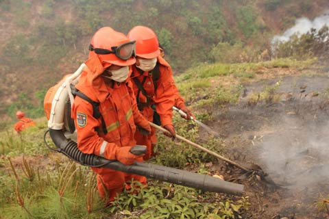 云南禄丰森林火灾仍未扑灭 过火面积估计3千亩
