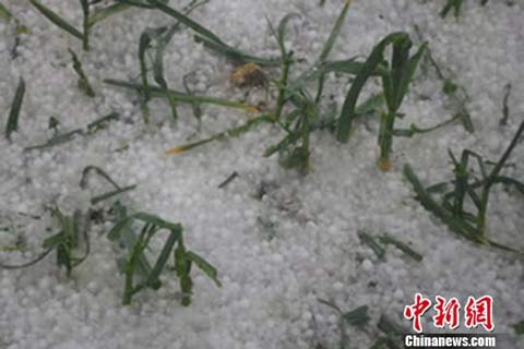 甘肃陇南遭遇冰雹3万余人受灾 最高堆积15厘米