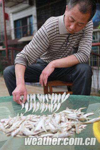 洞庭湖渔民上岸之痛 转型依然路漫漫