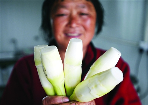 江苏吴江:茭白住大棚 身价翻一番