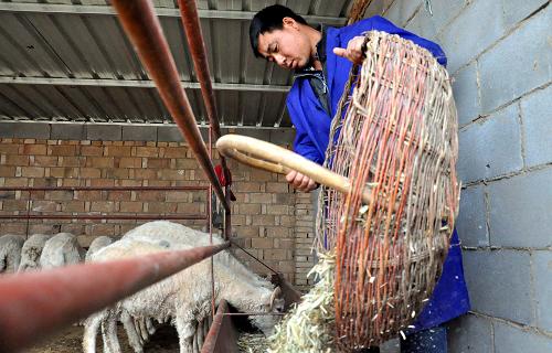 ���໷�أ�ɽ��ũ�񷢡��򡱲�