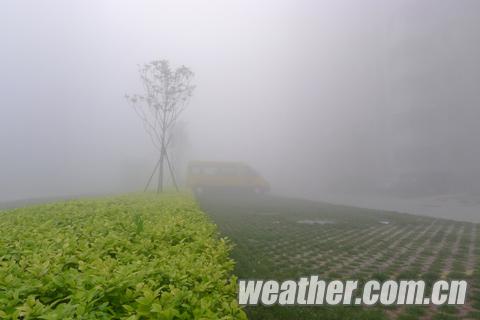 初夏时节现浓雾 河南多地发红色预警