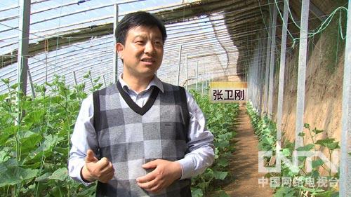 致富经:夫妻搭档做代言 黄瓜叔和西红柿婶(图:1)