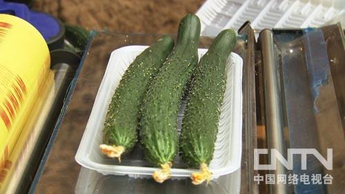 致富经:夫妻搭档做代言 黄瓜叔和西红柿婶(图:3)