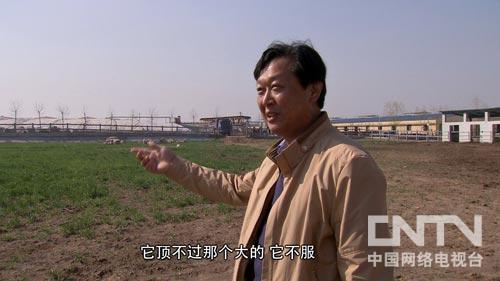 �¸�������һ�ٷ��з��־޴��̻�