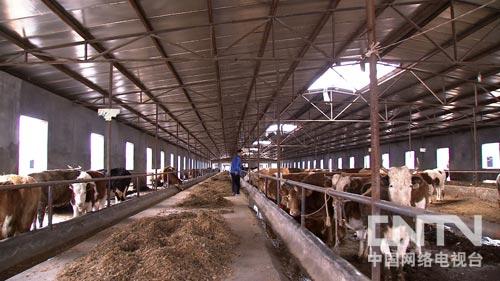 �¸�������һ�ٷ��з��־޴��̻���ͼ��3��