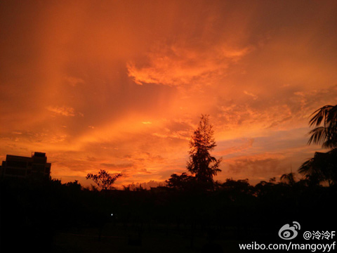 41.6�棡���ϵ��ɡ��𵺡� ���ա��ȸ��¾���