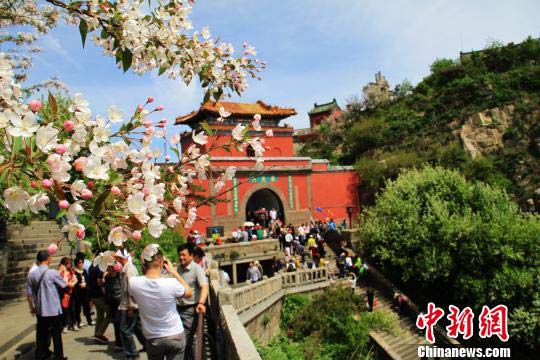 泰山南天门海棠花开醉游人(组图)