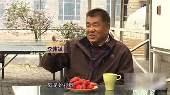 ¸ֲݮ 400Ԫһﲻ⣨ͼ2