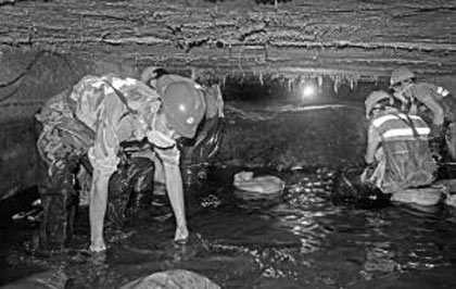 ��������7���˿����� �����������콫��������