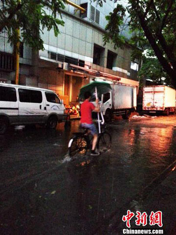 暴雨大风袭击广州 市区“水浸街”树木被刮倒
