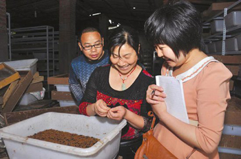 Ĵ˱Ʒ۳汾һ ÿ׬20