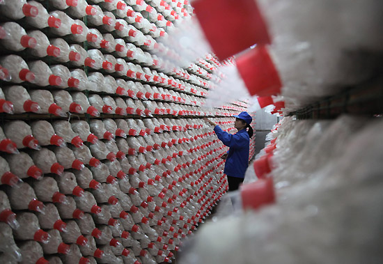 5��19�գ�ɽ��ʡ��ƽ�ط��̿Ƽ���˾�Ĺ�����ʳ�þ���������Ϊ����������