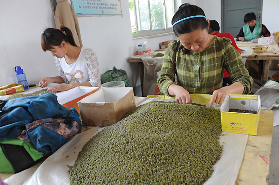 519գںӱʡʳרҵ磬ѡ̶