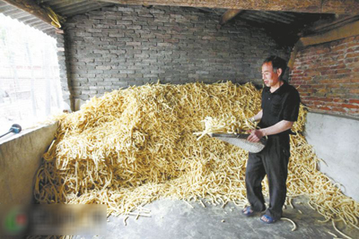 河南偃师市官庄村:替狐狸人工授精 程三根致富新经(图:8)