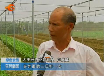广东东莞市:自动喷淋种蔬菜 东莞试点无公害(图:1)