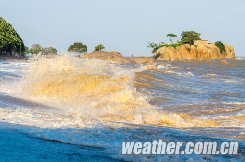 ��������������ӭ�� ��׳��ʤǮ����