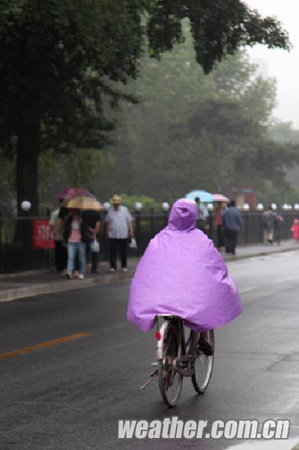 ���������������ֹͣ ������������������� 