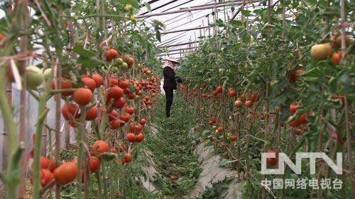 致富经:发现一天能赚一万多元的生意之后(图:3)