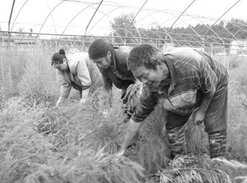 ������«����������(ͼ)