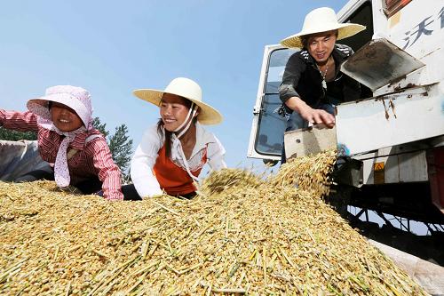 62գڰʡпɽ԰ũջС