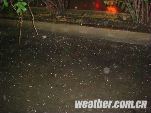 哈尔滨白昼如夜大雨突袭 未来全省仍多阵性降雨