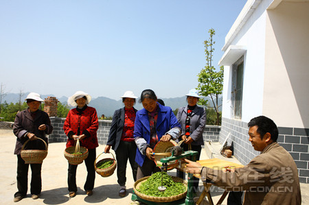 СС²èÒ¶ÖúÔ²Ö¸»ÃΣº²ÉÀ´Ïʲ衣