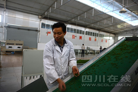 СС²èÒ¶ÖúÔ²Ö¸»ÃΣºÖƲ賵¼ä¡£