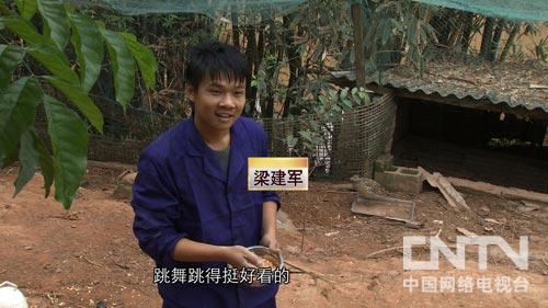 致富经:80后小伙两招变成致富能手(图:1)