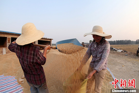 ͼΪ¦¦챦˺¦¦ĸڽСװ