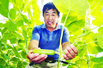 不施农药化学肥 蔬果即食第一回