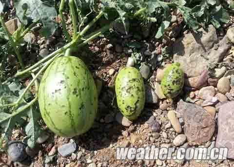 ������ͭϿ������30������ǿ���� ũҵ��ҵ��������