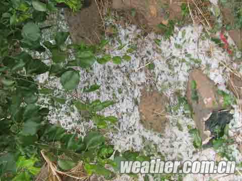 ������ͭϿ������30������ǿ���� ũҵ��ҵ��������