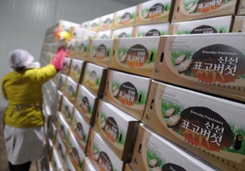 6月15日,在平泉县一家食用菌生产加工企业,工人在整理出口到韩国的产品。