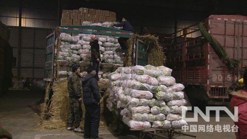 致富经:文科状元回乡种菜隐瞒的真相(图:6)