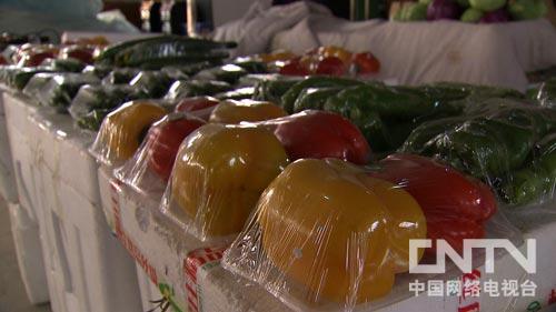 致富经:文科状元回乡种菜隐瞒的真相(图:8)