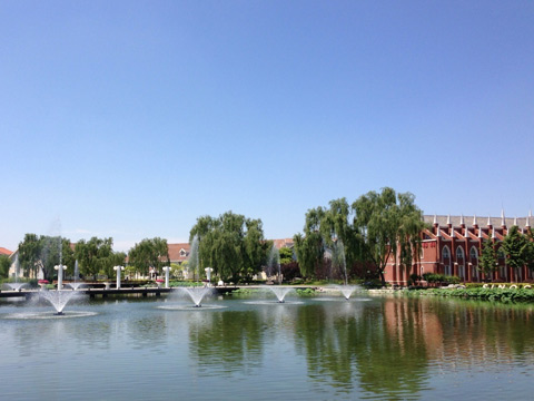 �����񡱼ݵ��ѵ����������顱 ���������������¸�