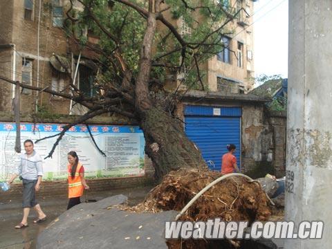 ����ϰˮ�����������ش���Ϯ�� 2����3��ʧ��