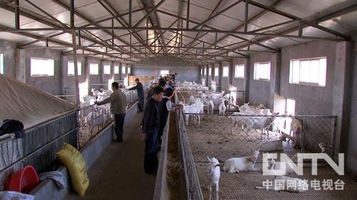 ¸һ500һ ٷչܣͼ10