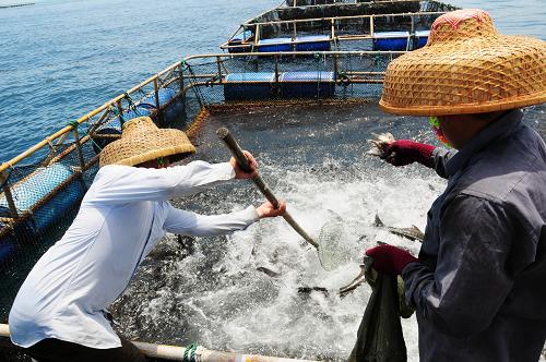 620գ湤ɳ䵺ˮֳһˮ䲶̾㡣