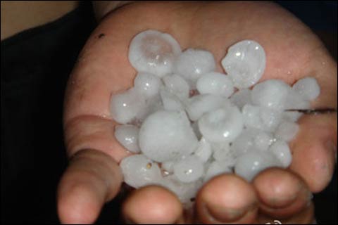 ��������ͻϮ������ ���Ѹߺ��������