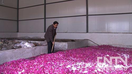 致富经:受到一个启发 玫瑰财富每年翻一番(图:8)