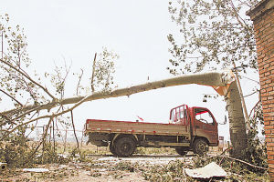 �����ӿ�����200�� ������˲����ƶ